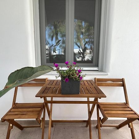 To Spitaki Sas, In Santorini! Apartment Mesaria Exterior foto
