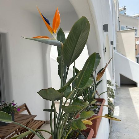 To Spitaki Sas, In Santorini! Apartment Mesaria Exterior foto